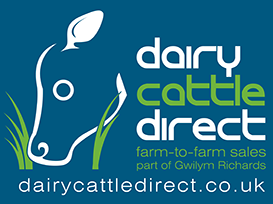 Dairy Cattle Direct